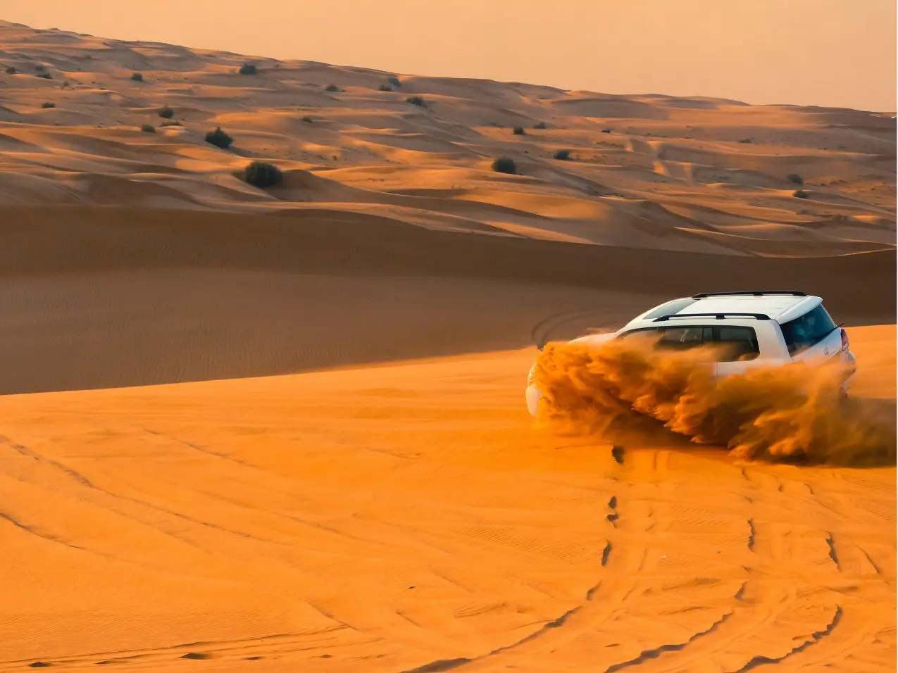 Special UAE Experiences
