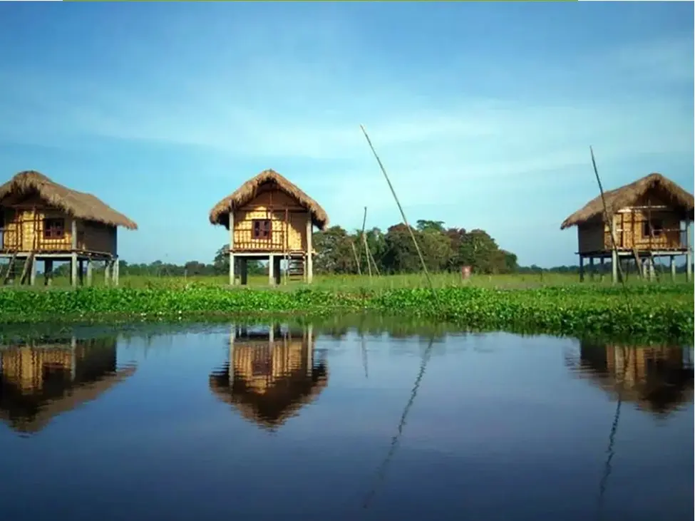 Majuli Island
